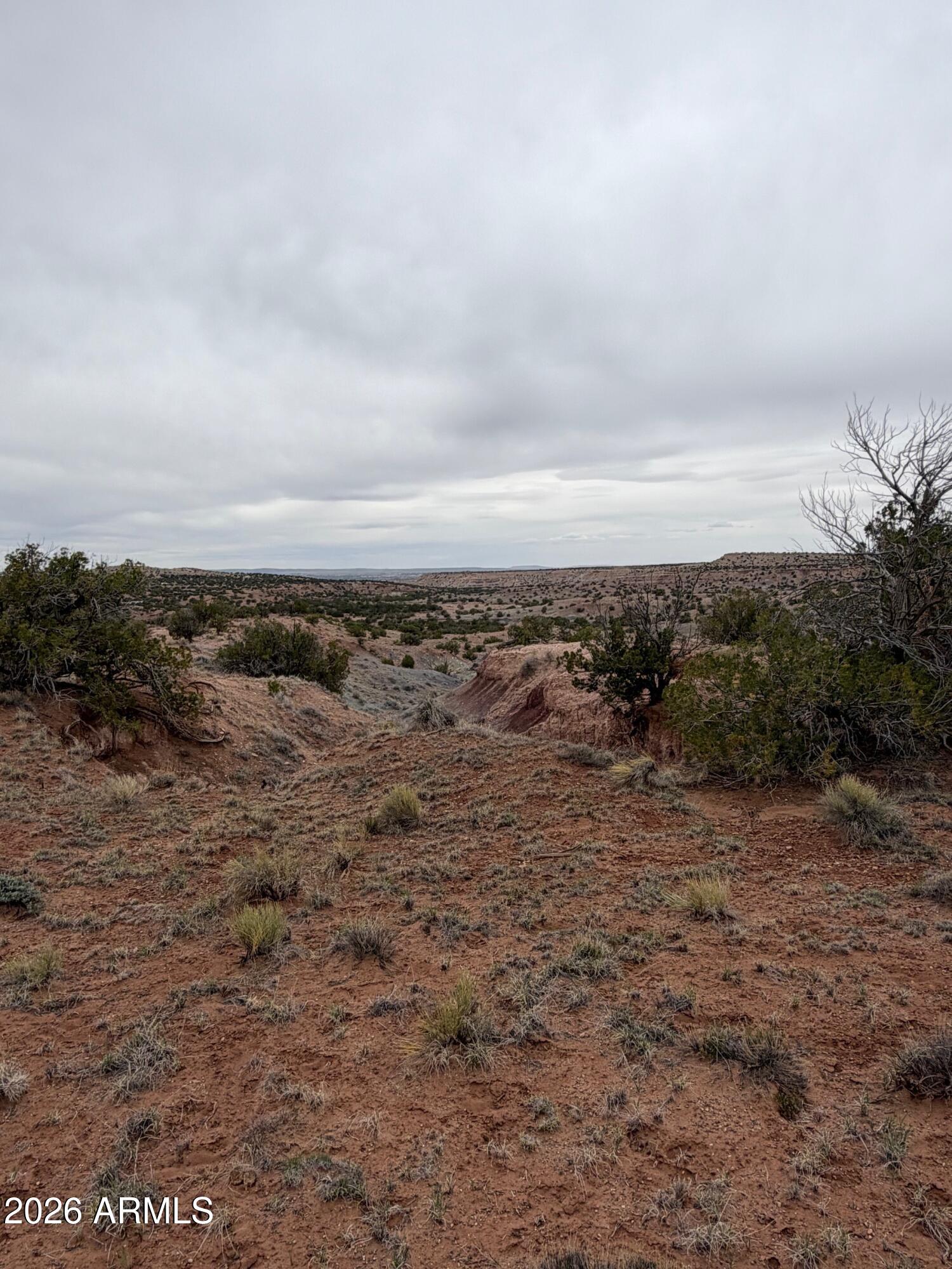 Cedar Ridge Estates - Land