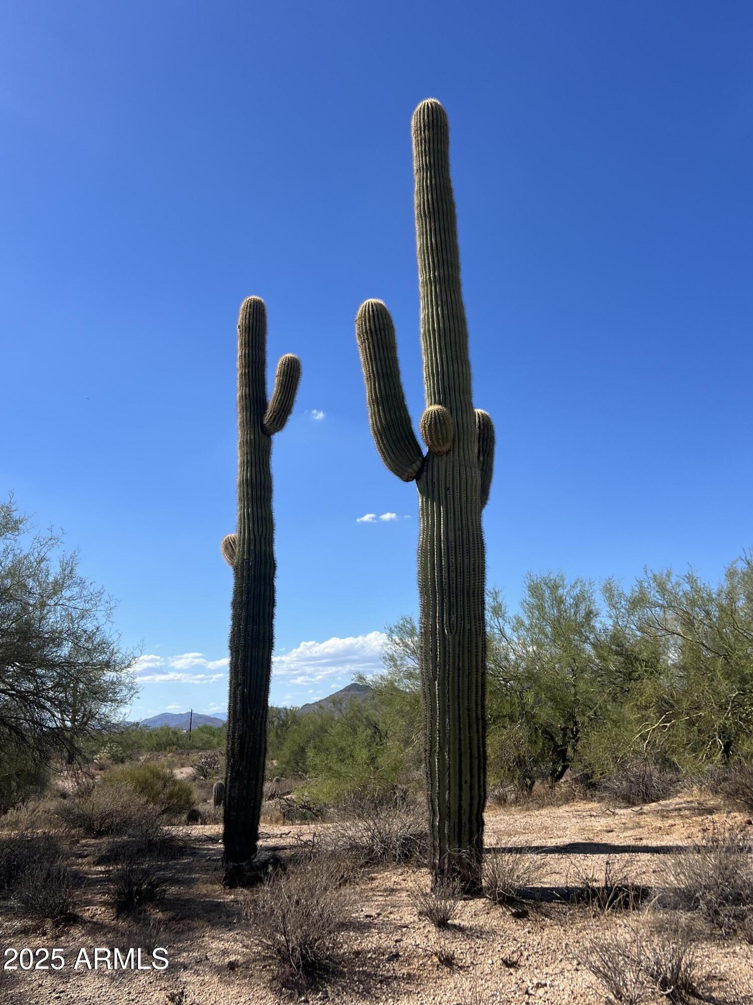 33501 N 55th Street -