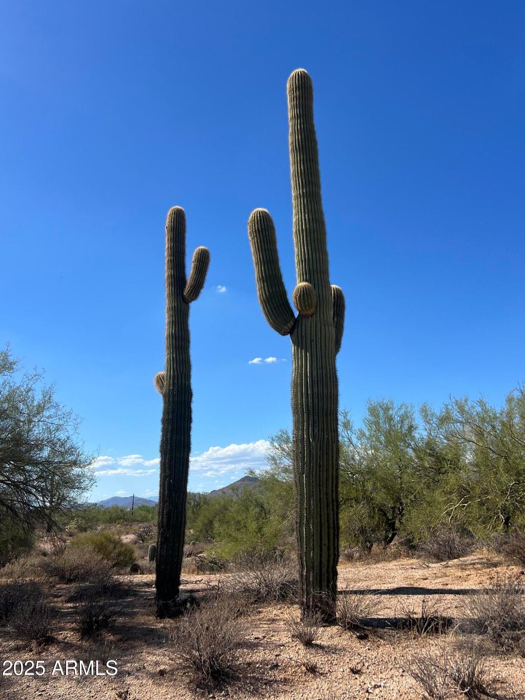 Photo of 33501 N 55th Street #-, Cave Creek, AZ 85331 (MLS # 6827081)