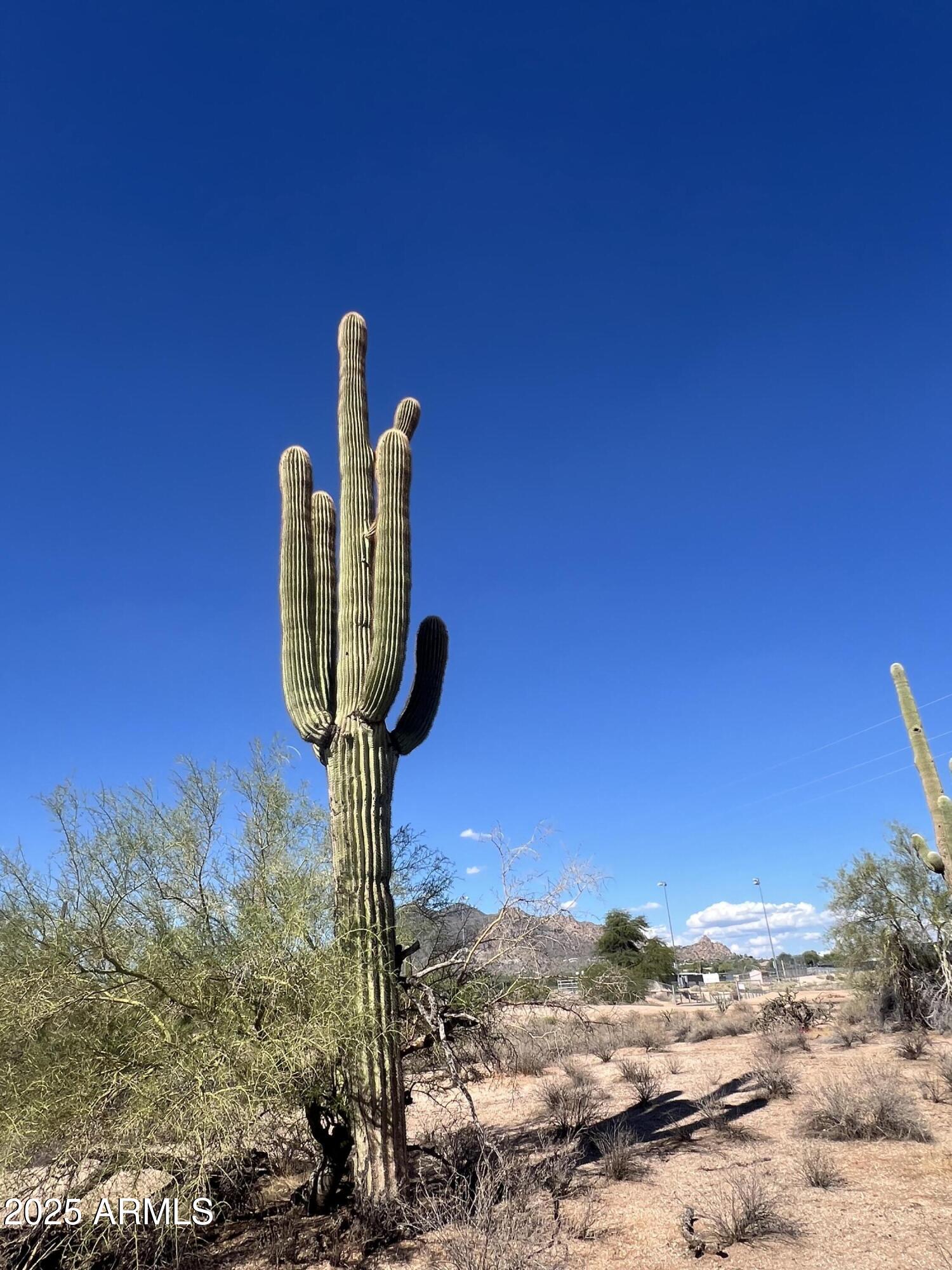 33501 N 55th Street -