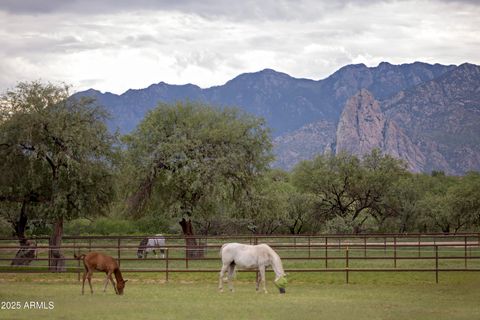Property photo of 3155 W Elephant Head Road, Amado, AZ 85645
