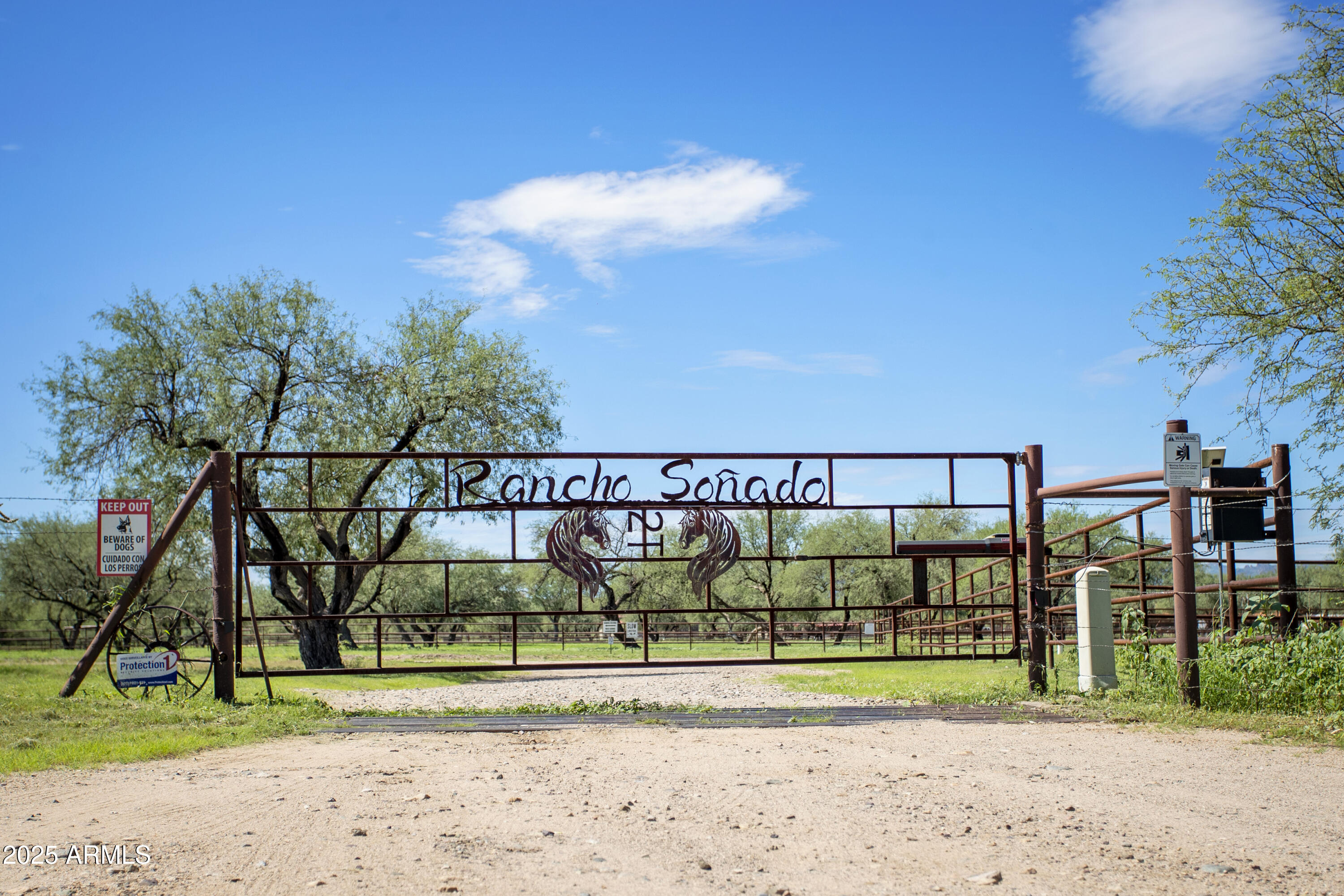 3155 W Elephant Head Road