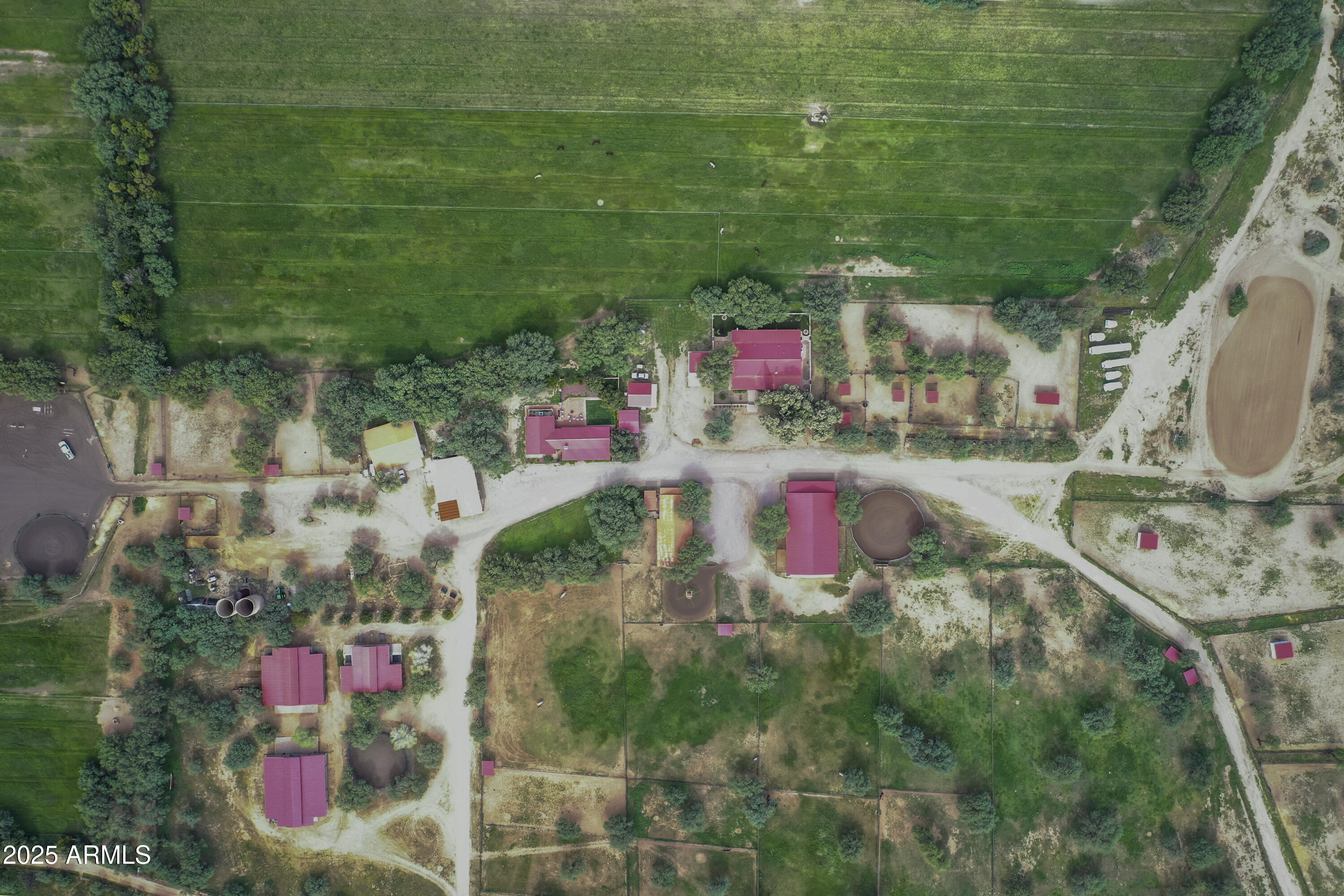 3155 W Elephant Head Road