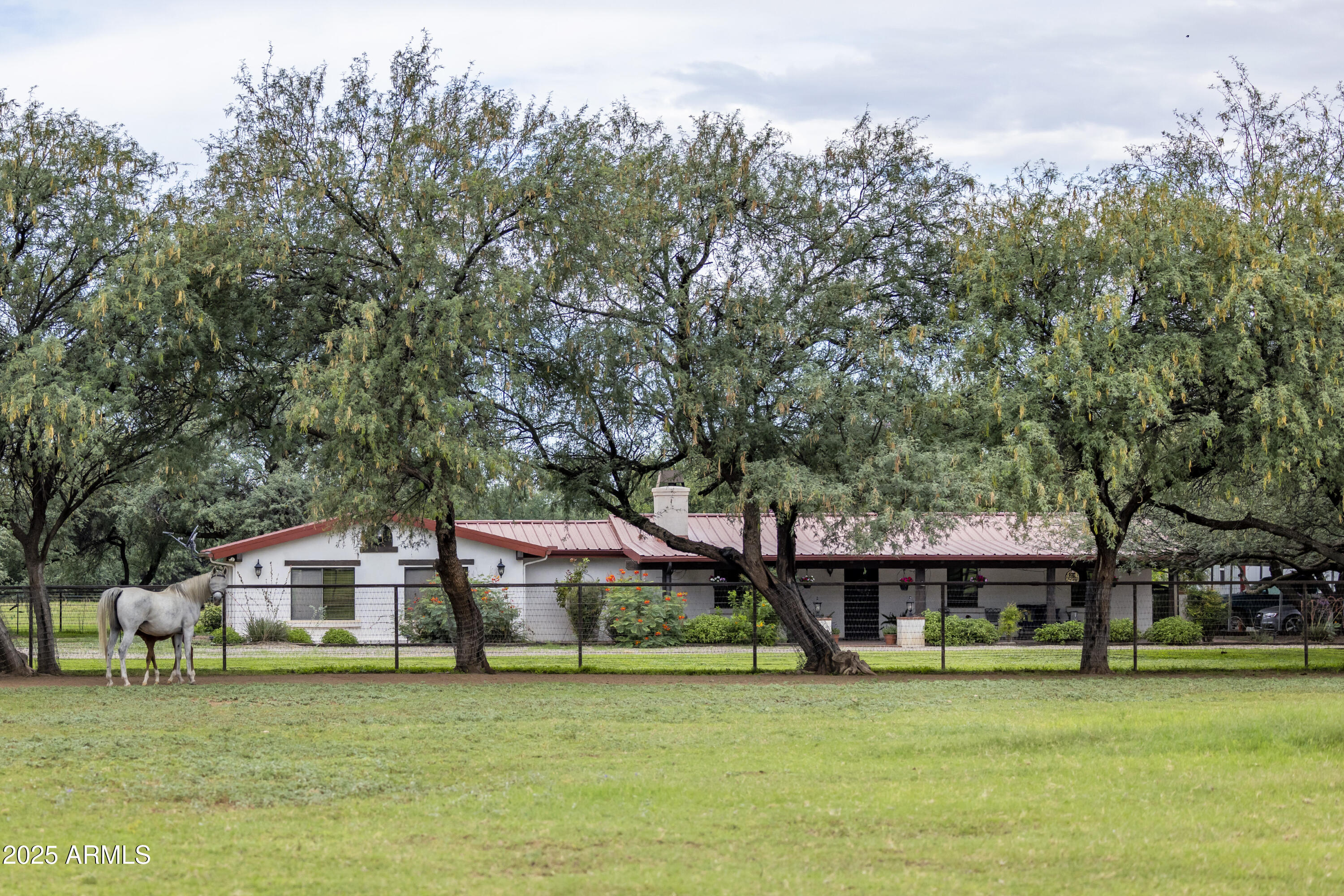 3155 W Elephant Head Road