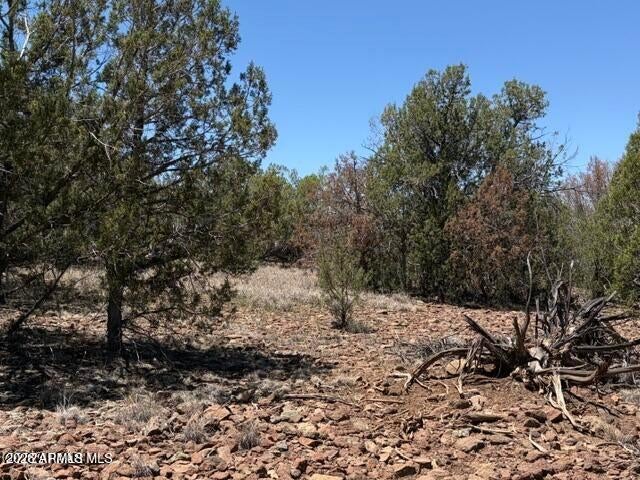 356 Slow Creek Road -