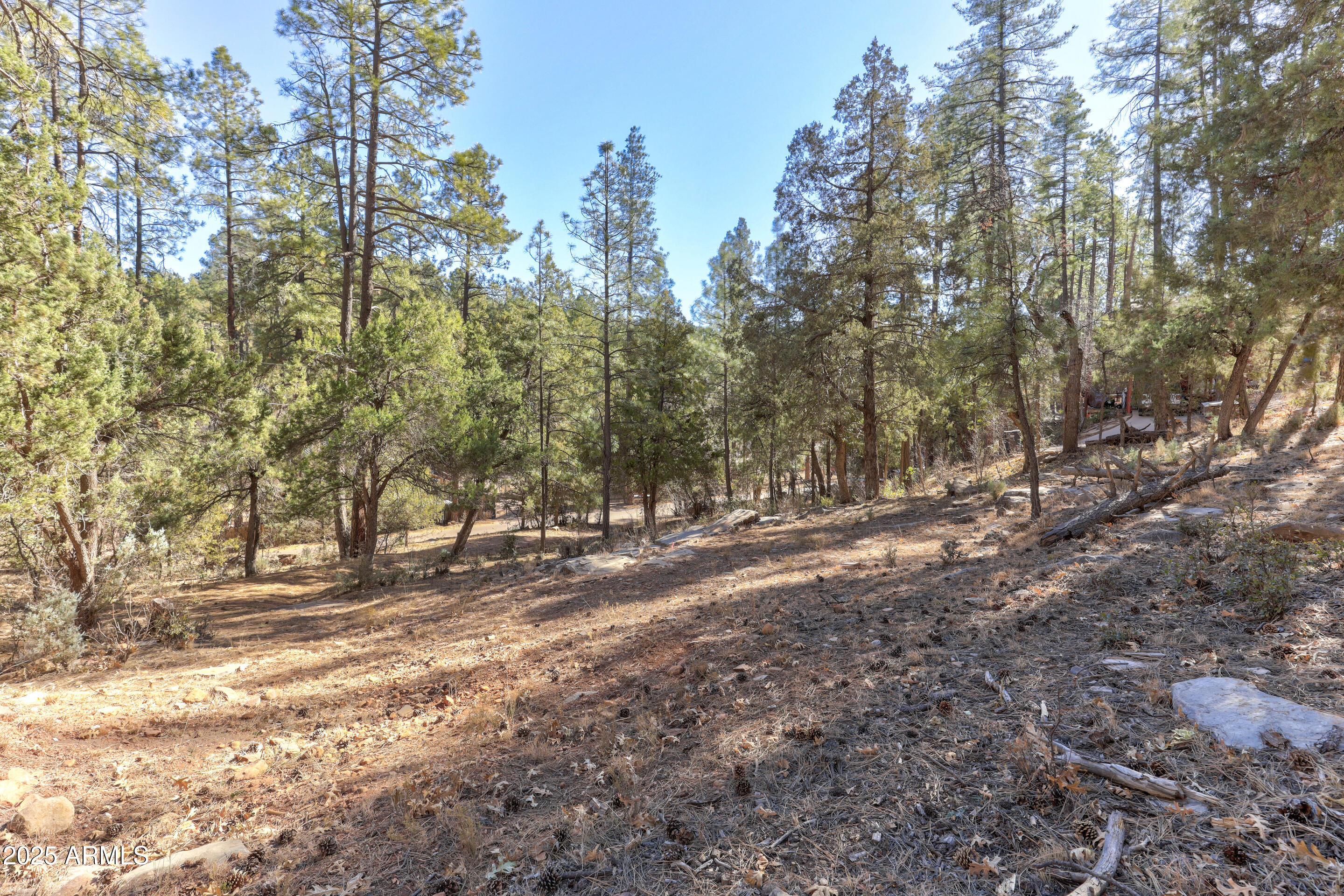 11180 N Houton Mesa Road 77