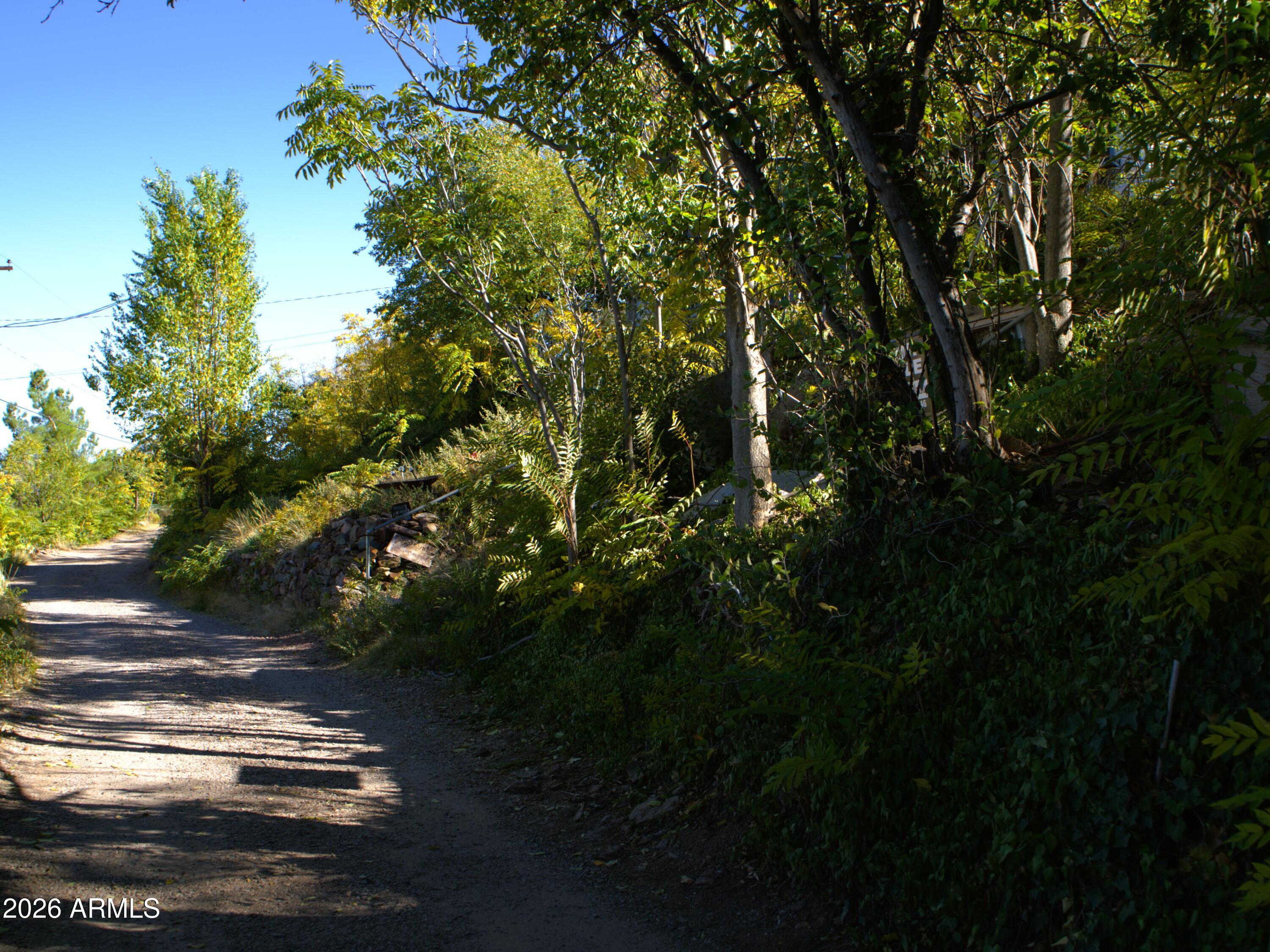 25 MAGNOLIA Avenue 2