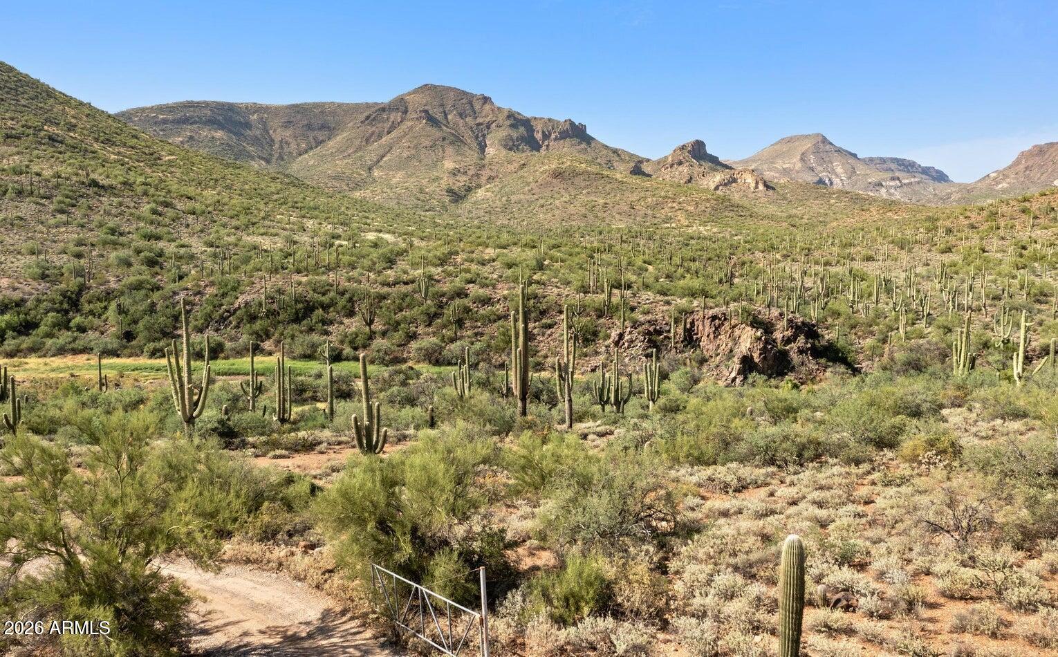 42650 N 52ND Street -