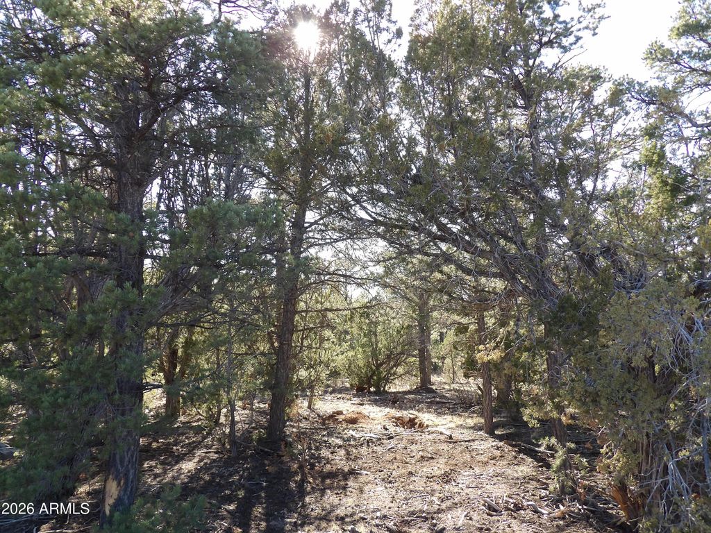 Photo of 5365 Twin Oaks Loop #50, Happy Jack, AZ 86024 (MLS # 7000587)