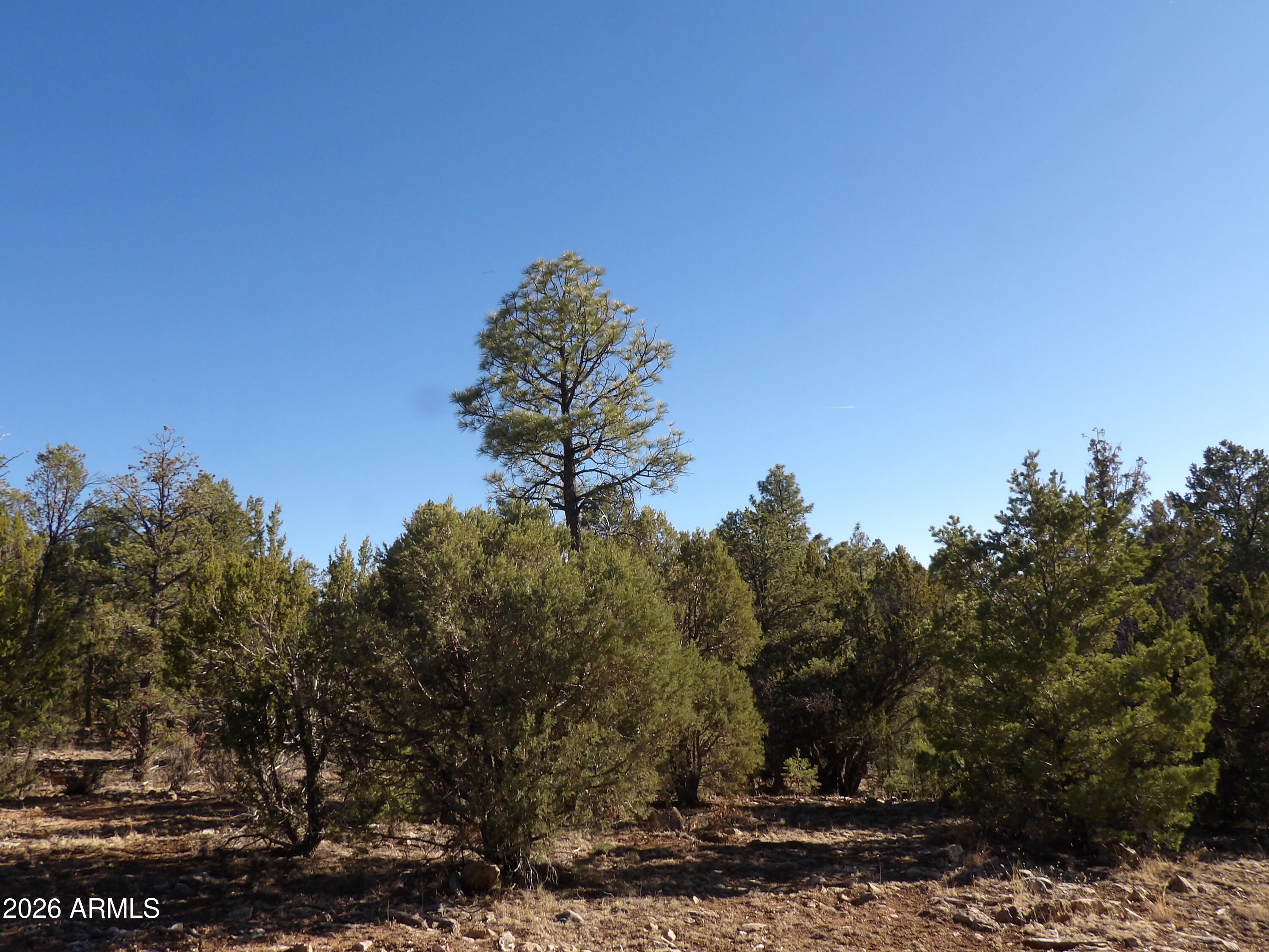 MOGOLLON RANCH 1 - Land