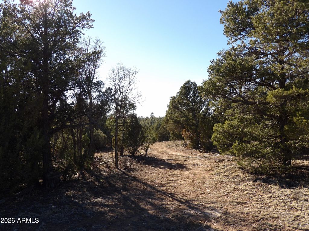 Photo of 5365 Twin Oaks Loop #50, Happy Jack, AZ 86024 (MLS # 7000587)