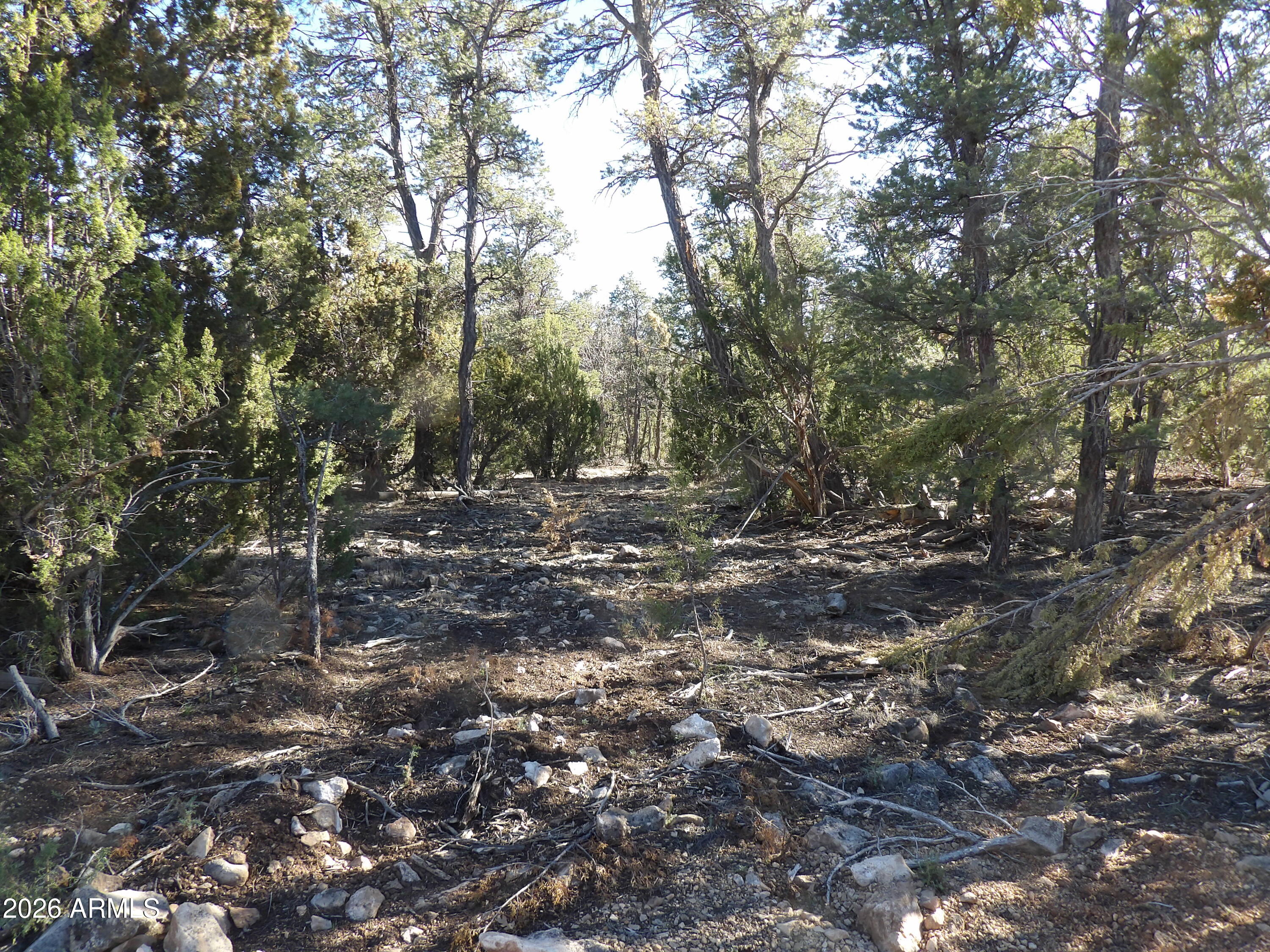 5365 TWIN OAKS Loop 50