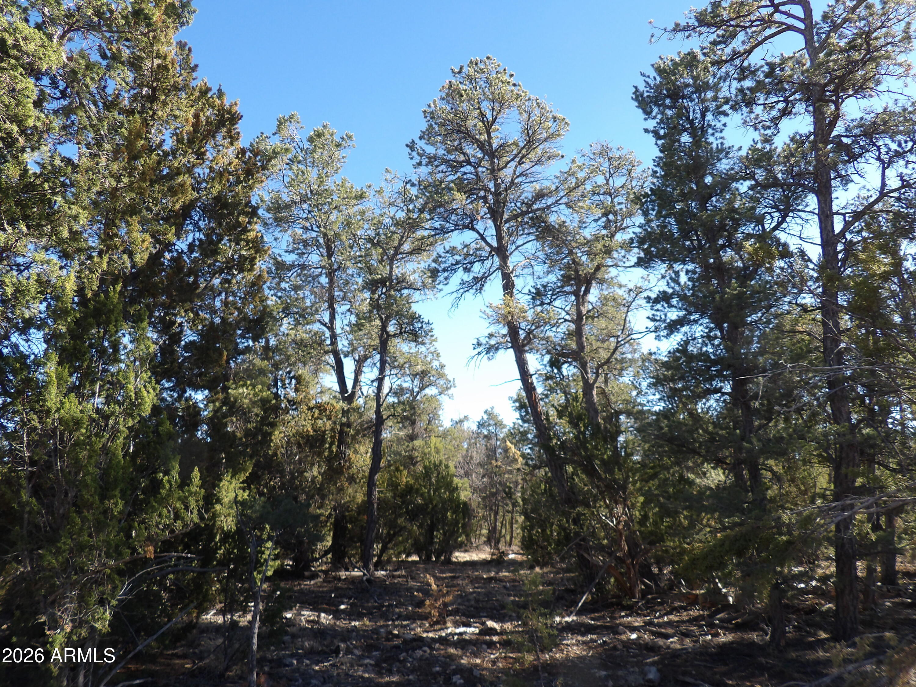 5365 TWIN OAKS Loop 50