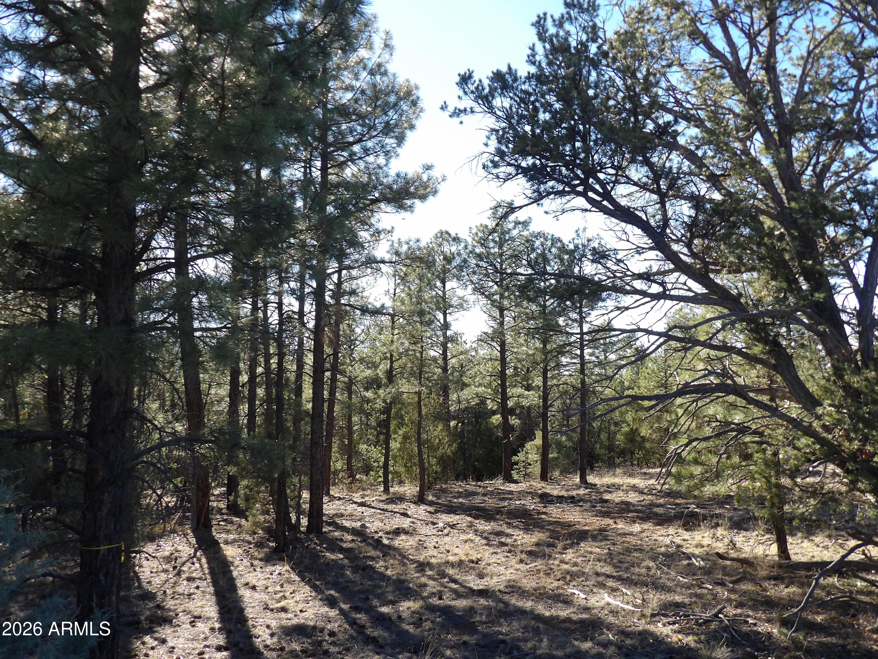 MOGOLLON RANCH 1 - Land