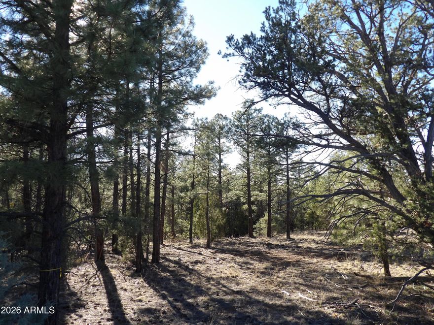 5 Acres of Beautiful Ponderosa Pines i the highly sought after community of Mogollon Ranch in Happy Jack, Arizona. Elevation 6800 ft. Come enjoy the cool  weather. Bring you horses! Equestrian friendly.  You can buy this land as an investment or build your Dream Mountain home/cabin.  No required time to begin a building project. Site built homes only. This is an HOA development. Electricity and Shared well water is to the property line. An alternative septic system will be required when you build. Seller has done a survey. Architectural plans of sellers are available. No camping allowed. Cash sale only.  Take drive up to Happy Jack to tour this very special land.