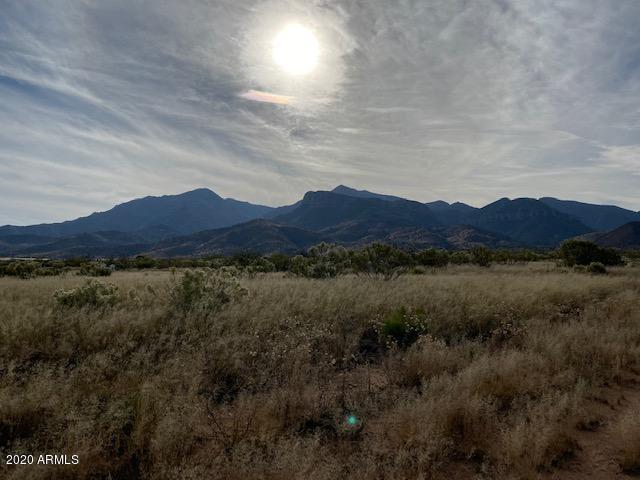 6143 S CALLE DE LA TORONJA -- 4