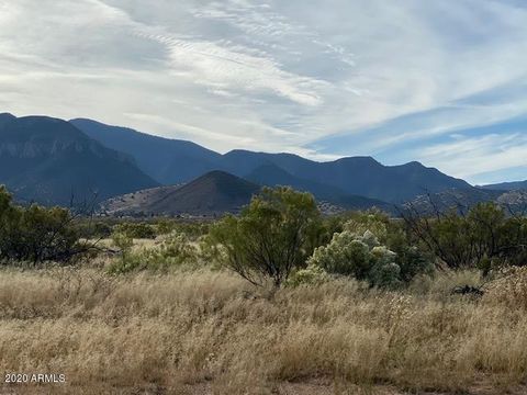 6143 S CALLE DE LA TORONJA -- 4 Hereford AZ 85615