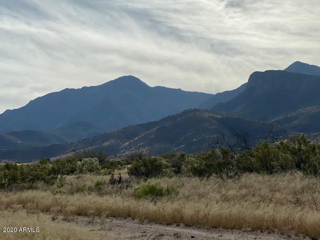 6143 S CALLE DE LA TORONJA -- 4