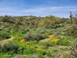 13318 N GOLDFIELD Road 9