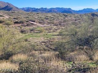 13318 N GOLDFIELD Road 9