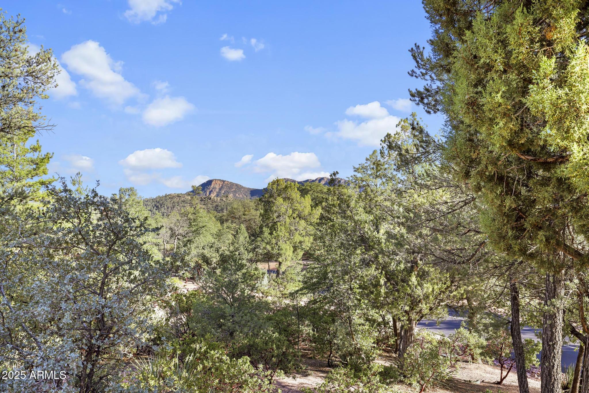 609 S PINE Stream