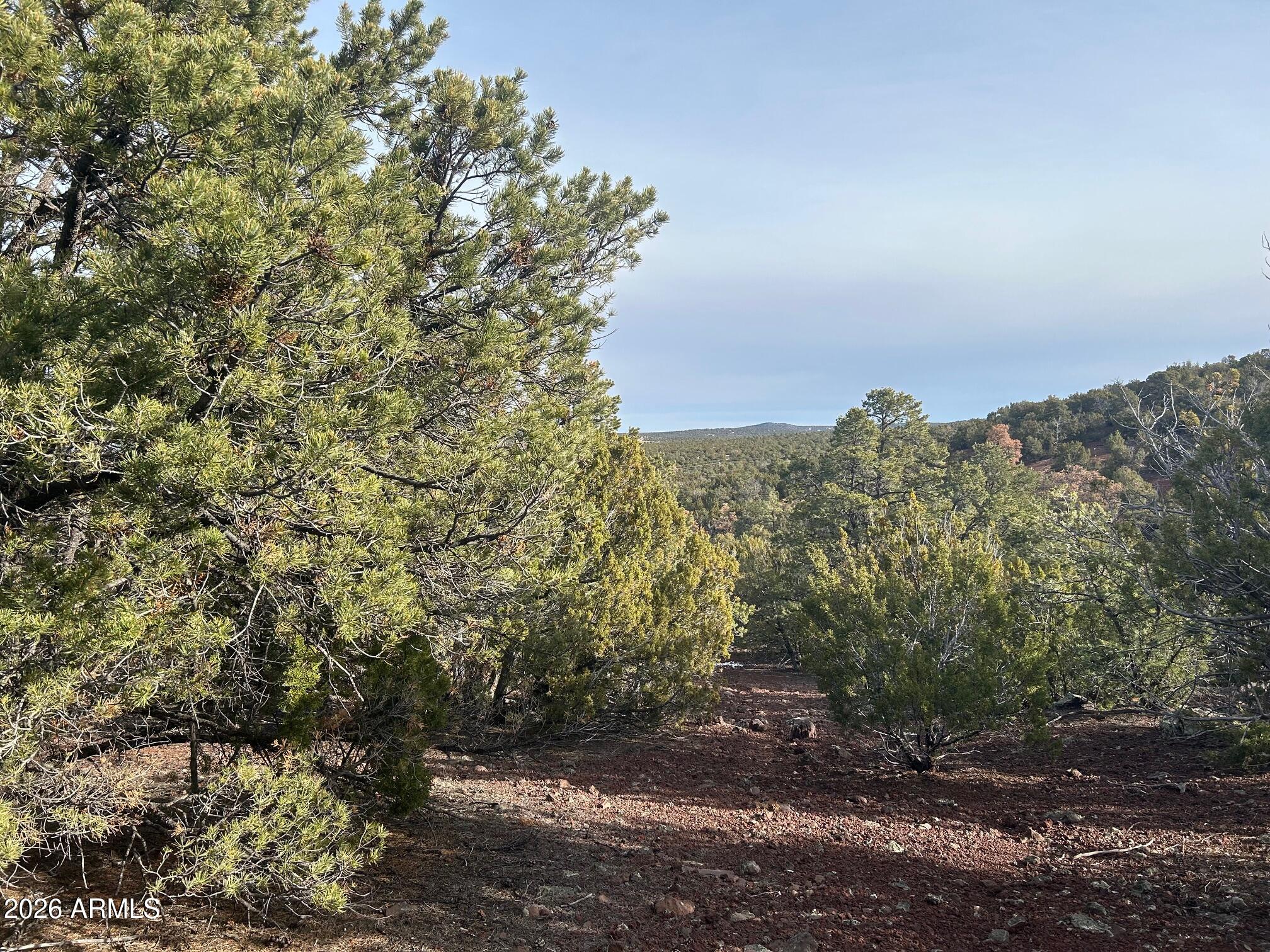 Lot 86 Ricks Road 86