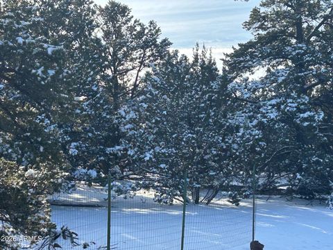 Lot 86 Ricks Road 86 Vernon AZ 85940