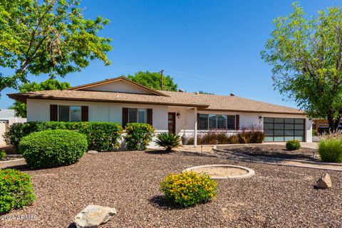 Single Family Residence in Scottsdale AZ 8102 WILSHIRE Drive.jpg