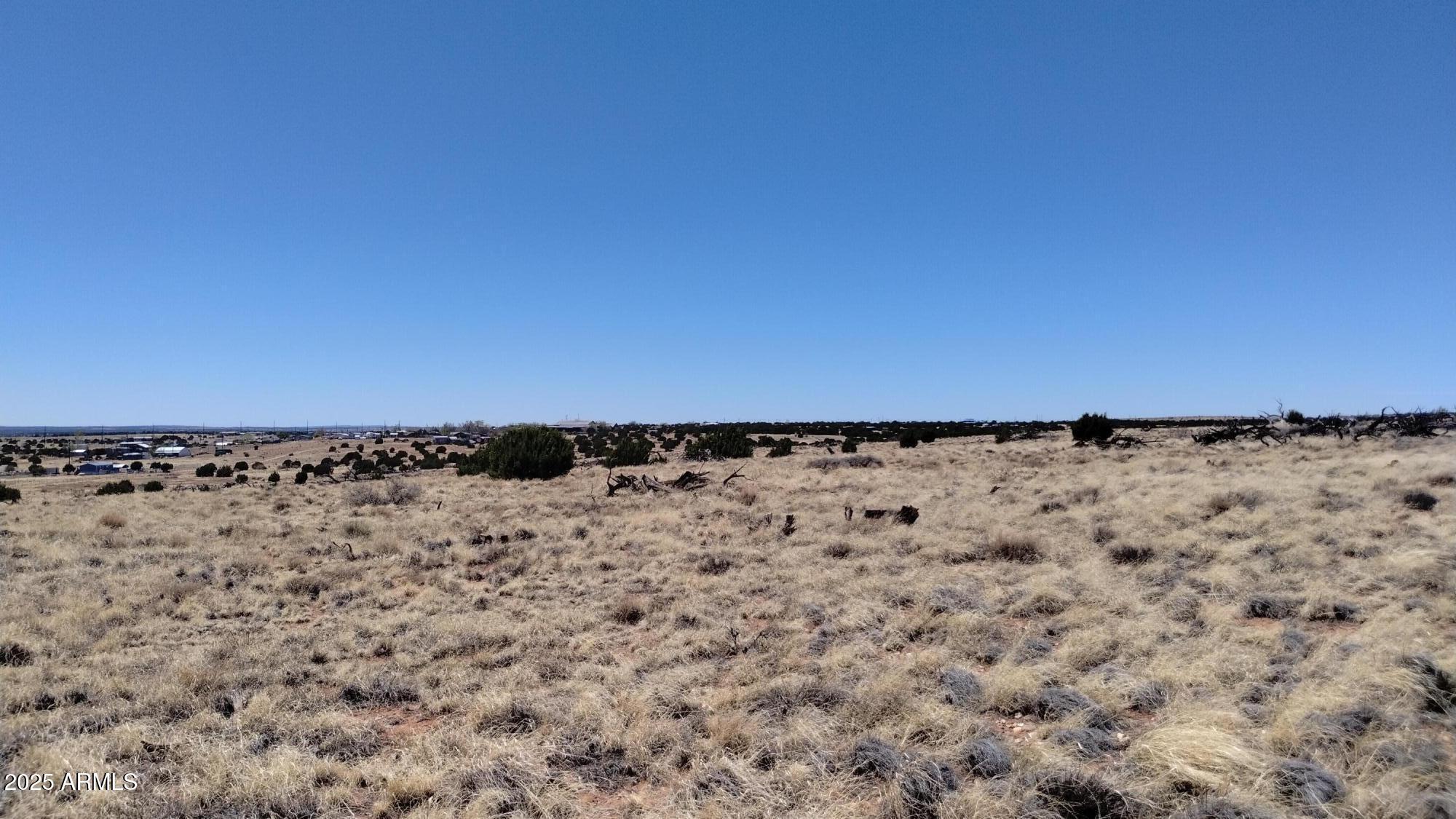 3716 THOMAS Road 205