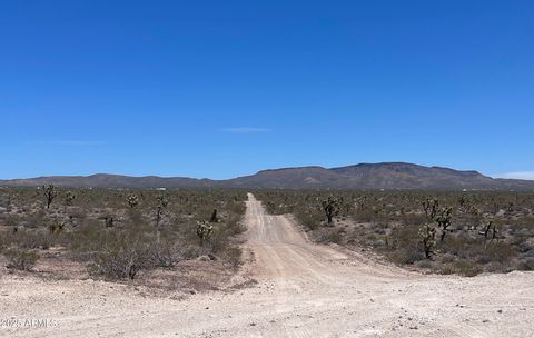 20455 N Skipper Boulevard - White Hills AZ 86445