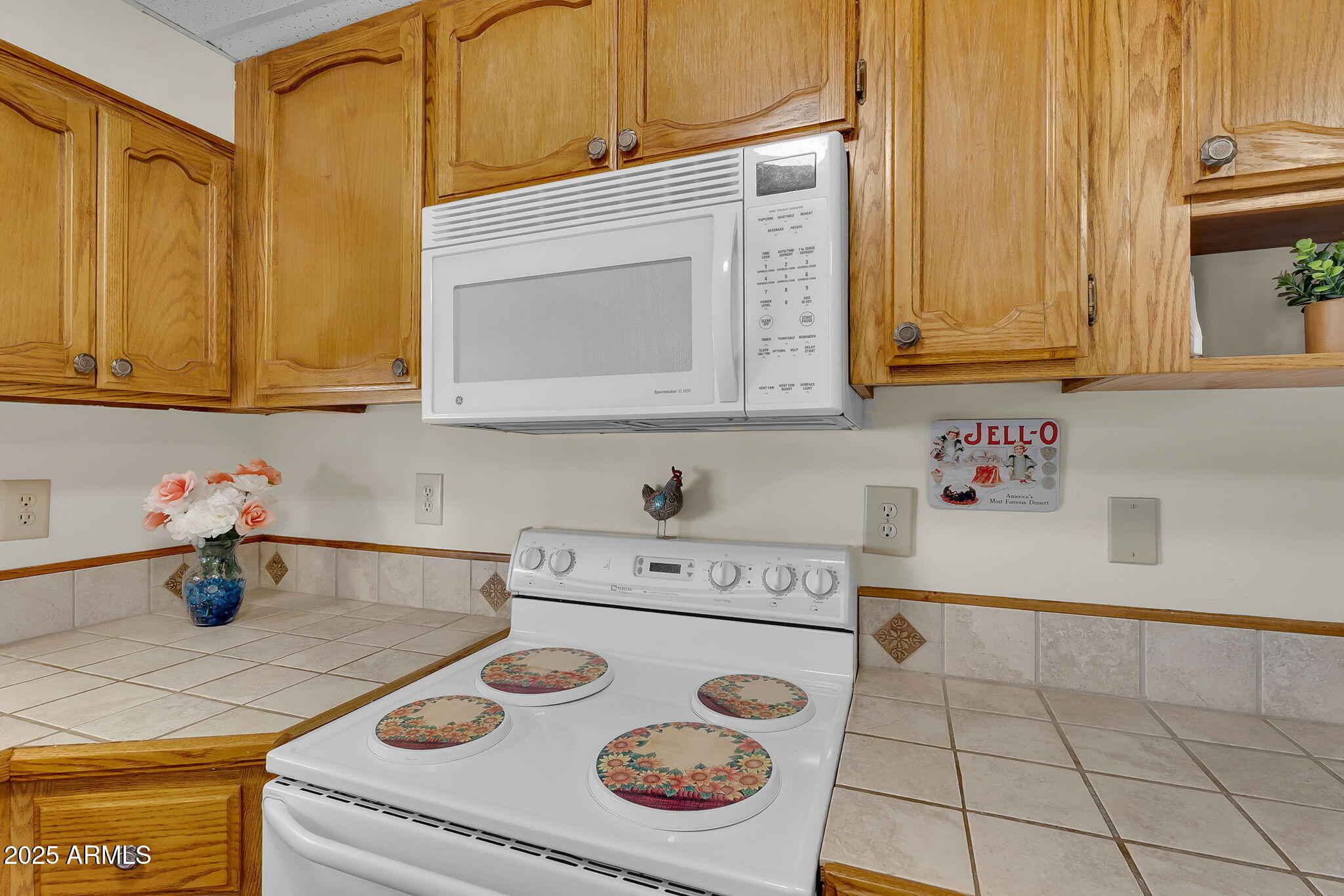 747 E GERMANN Road 99