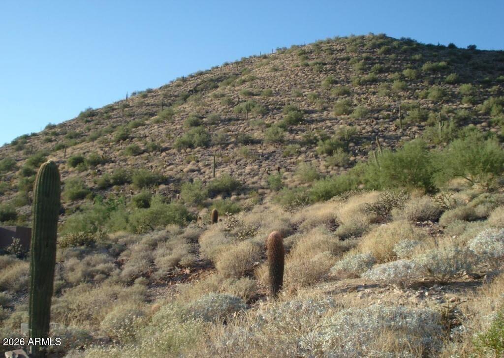 11412 E DREYFUS Avenue 10