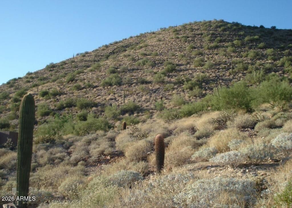 Photo of 11412 E Dreyfus Avenue #10, Scottsdale, AZ 85259 (MLS # 6976692)