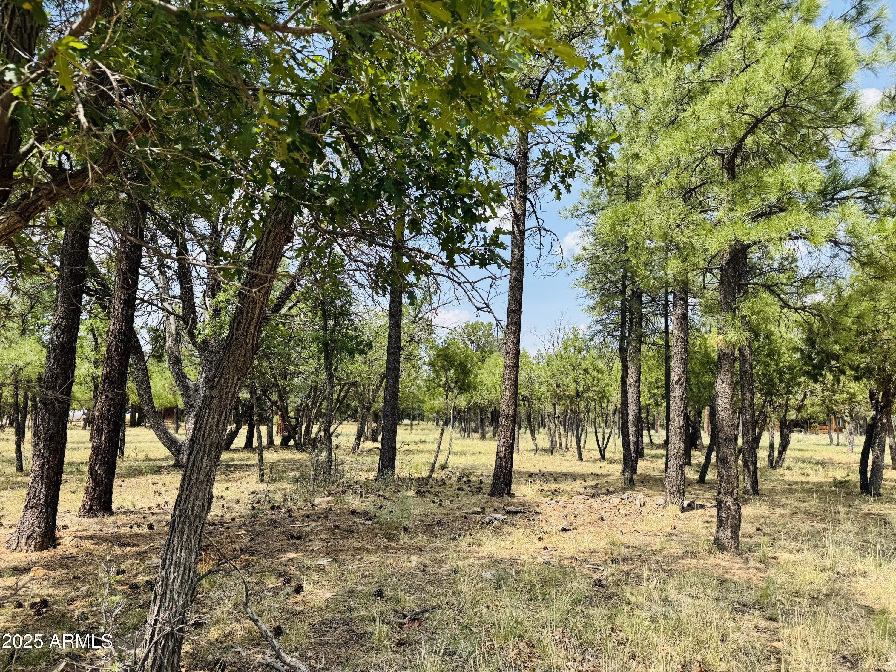 3236 DURANGO Drive 6