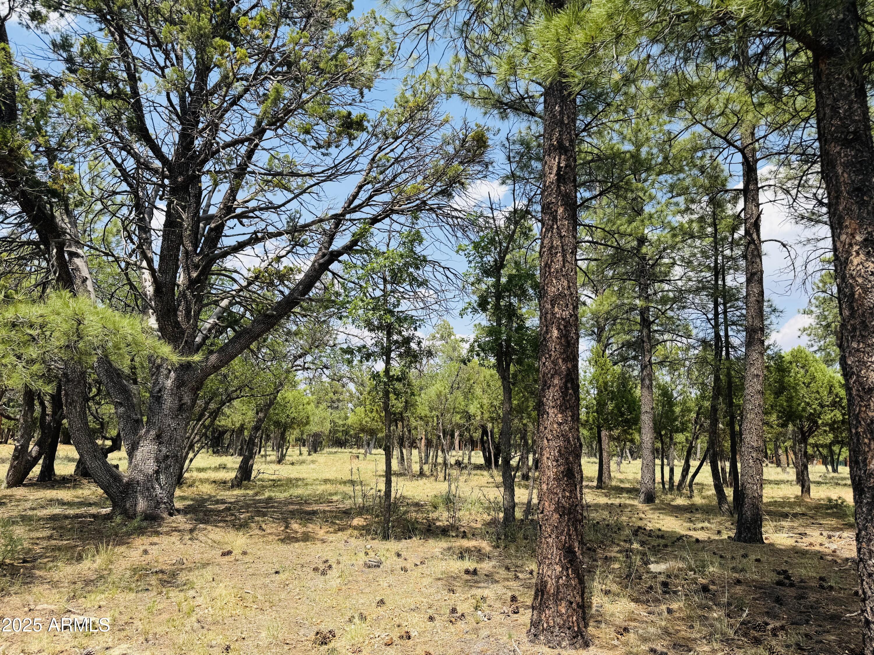 3236 DURANGO Drive 6