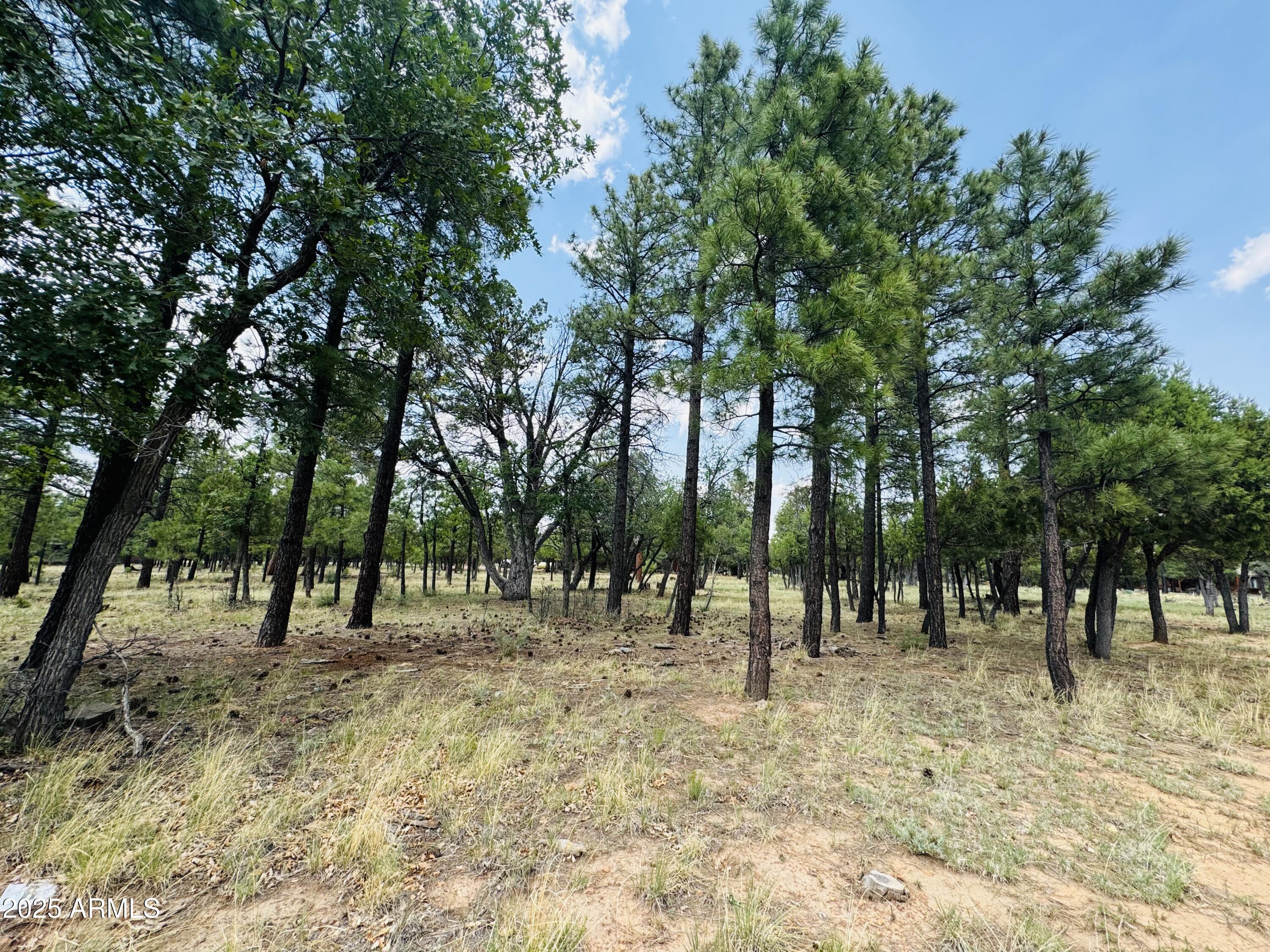 3236 DURANGO Drive 6
