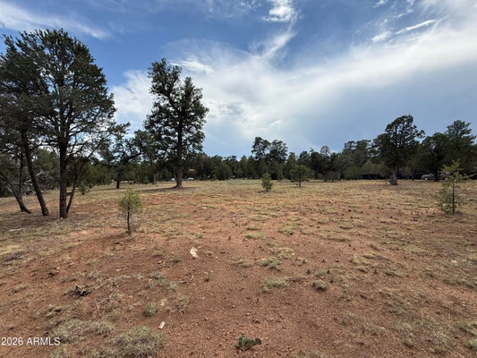 3048 CHEVELON RD # 147, OVERGAARD, AZ 85933 - Image 0376ff2fac6ba36ef8e8bbf3f7c4ea1b/3694950774