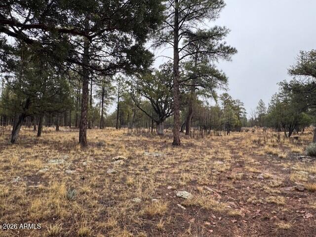 2625 Roundup Lane 246