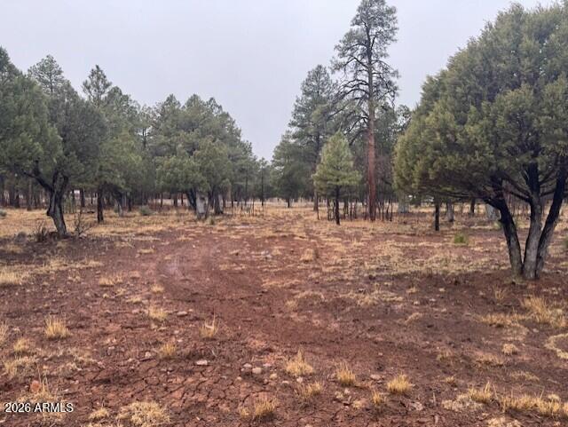 2625 Roundup Lane 246