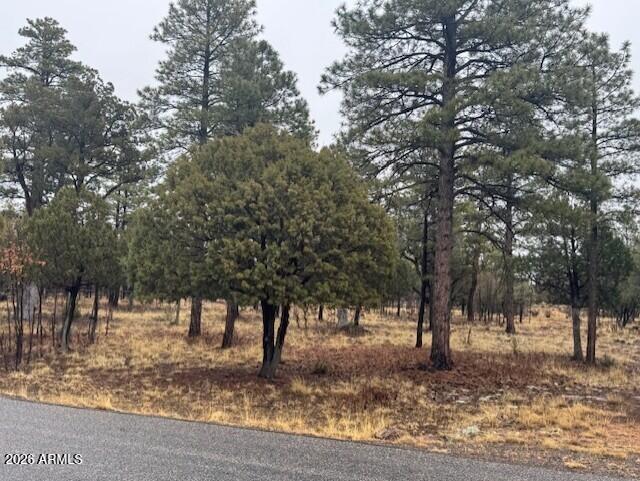 2625 Roundup Lane 246