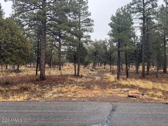 Starlight Pines - Land