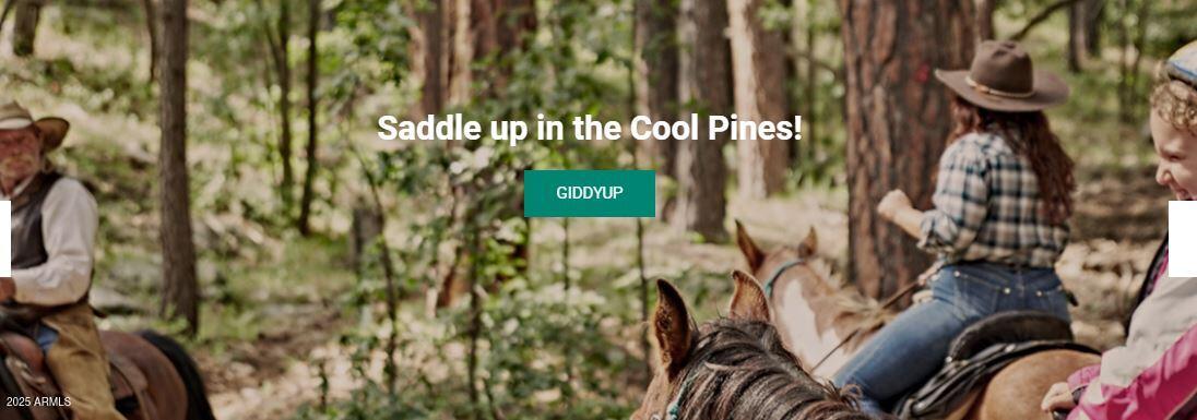 732 LOTS A LUCK Lane 6