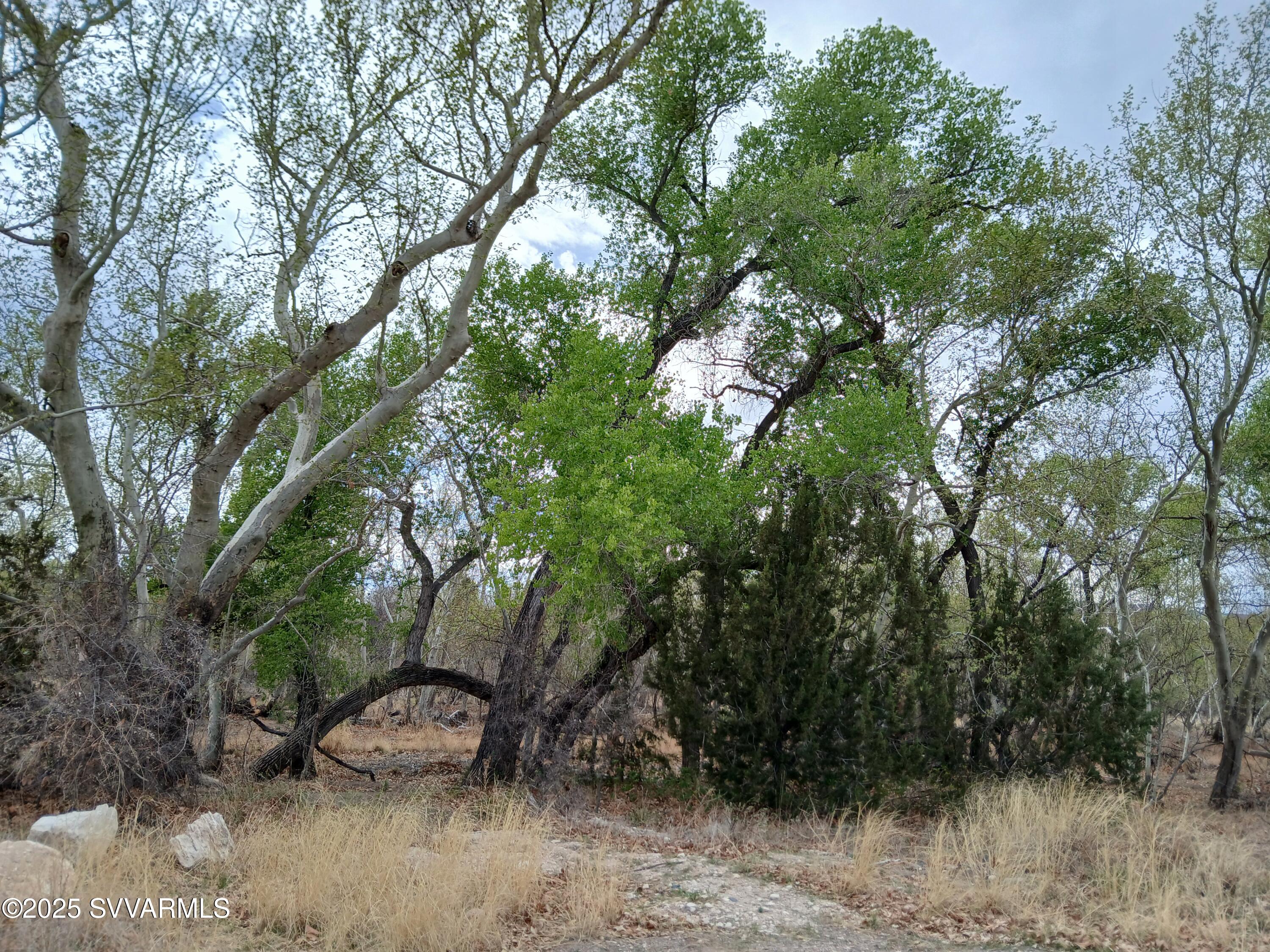 3710 S CLEARWATER Drive S 124