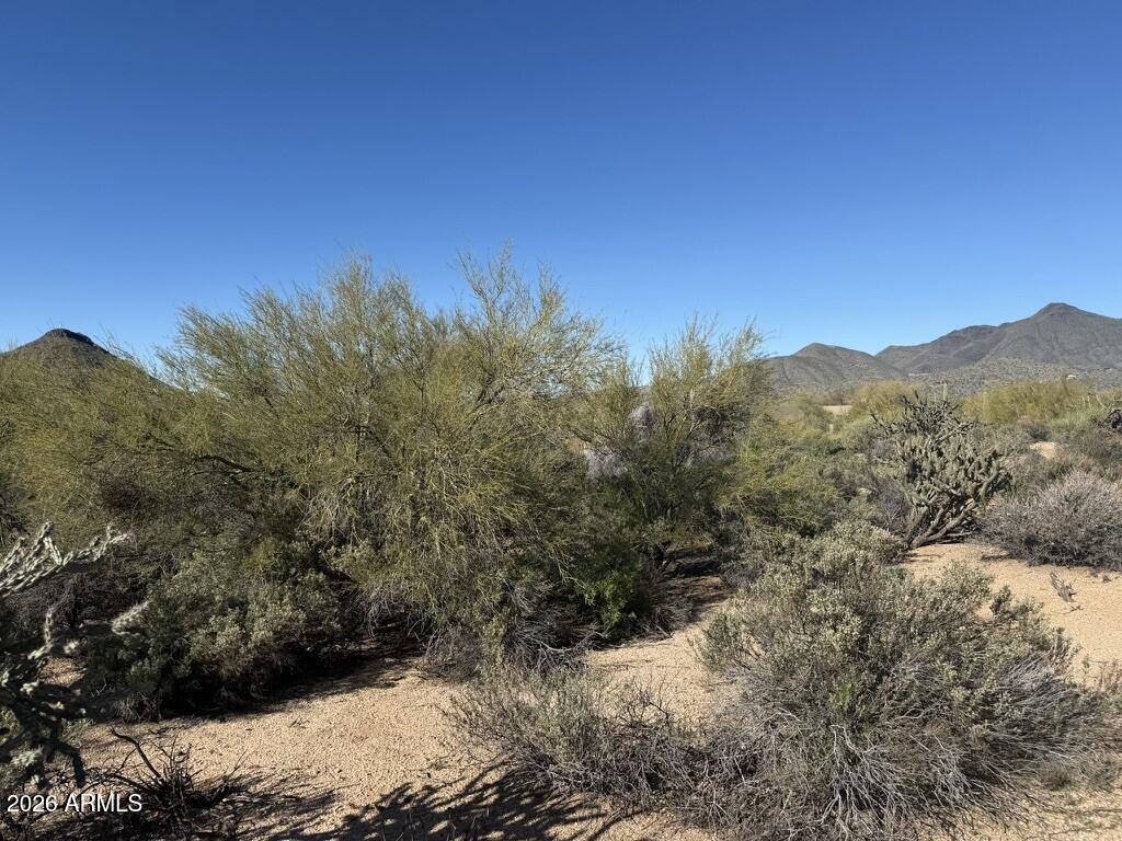 10148 E GROUNDCHERRY Lane 84