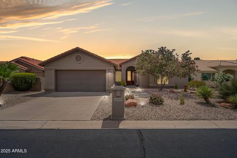 24409 S Ontario Drive Sun Lakes AZ 85248
