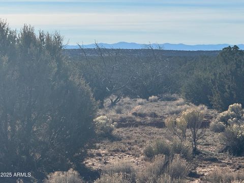 Lot 98 Woodland Valley Ranch -- 98 St Johns AZ 85936