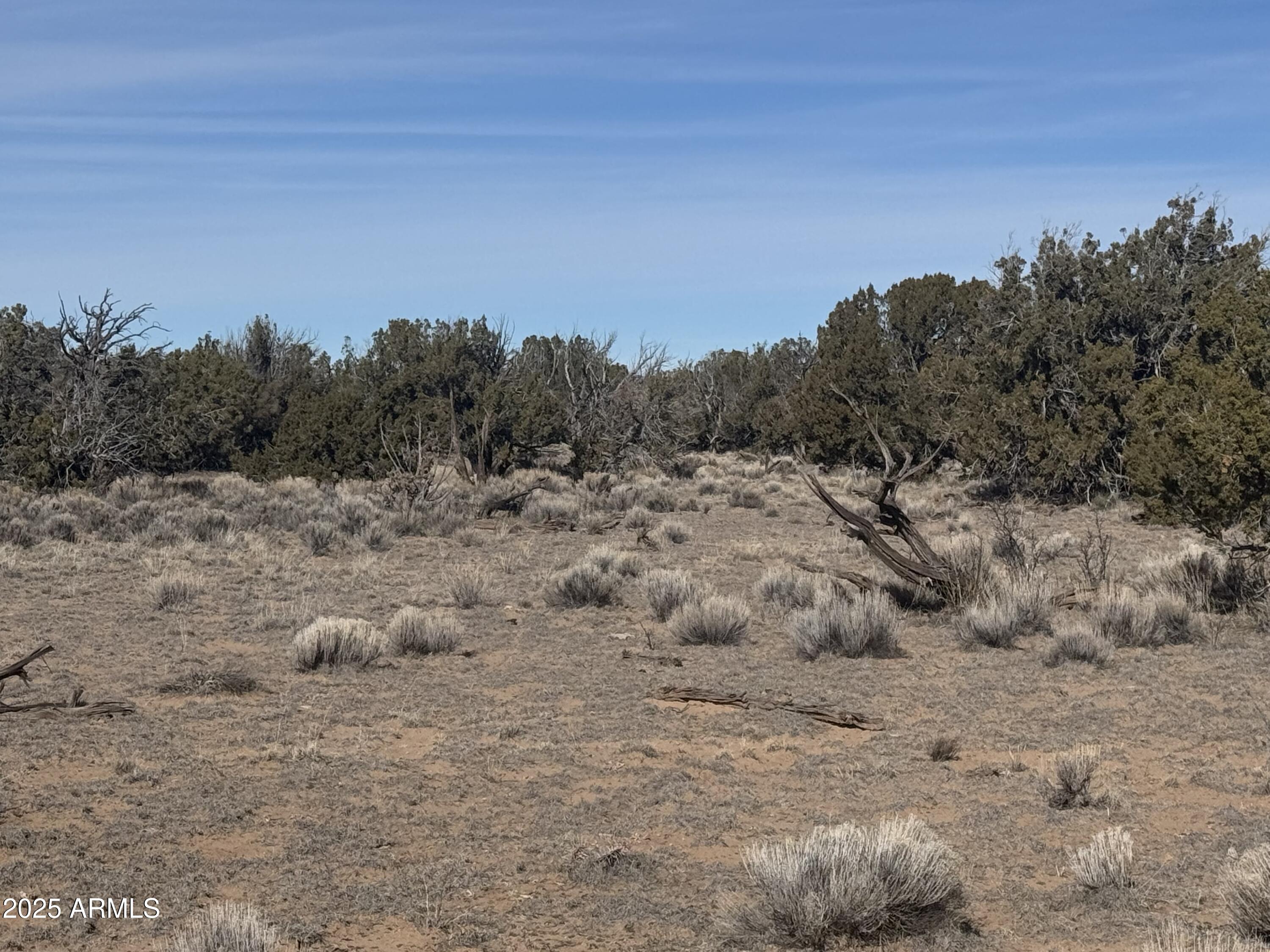 Lot 98 Woodland Valley Ranch -- 98