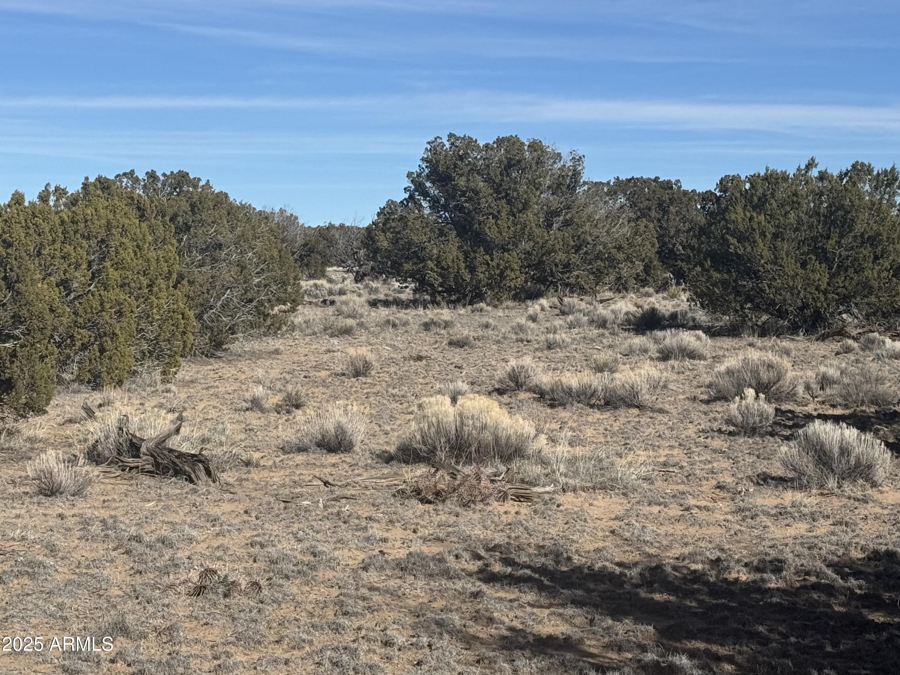 Lot 98 Woodland Valley Ranch -- 98