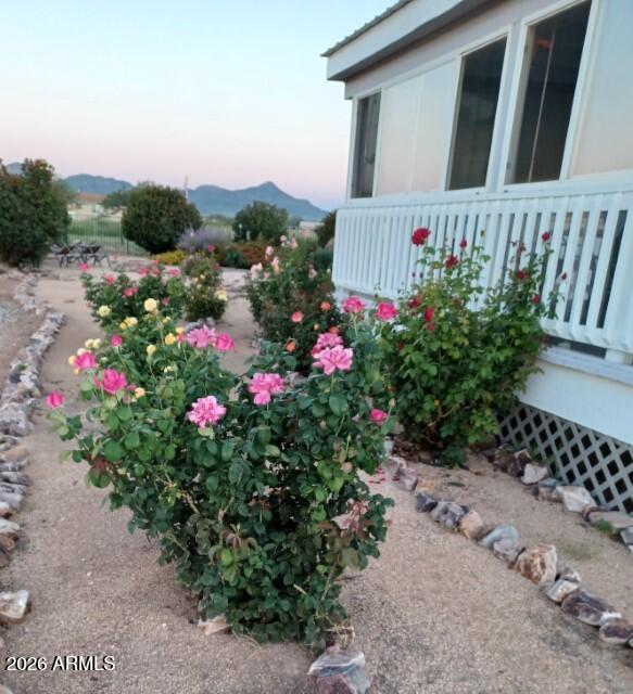 2565 N Calle Noveno --