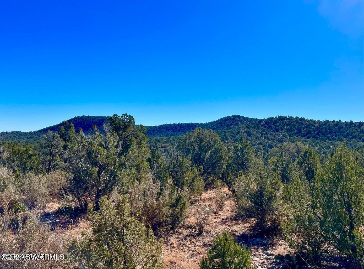 Tbd Rugged Gulch 40.57 Acres